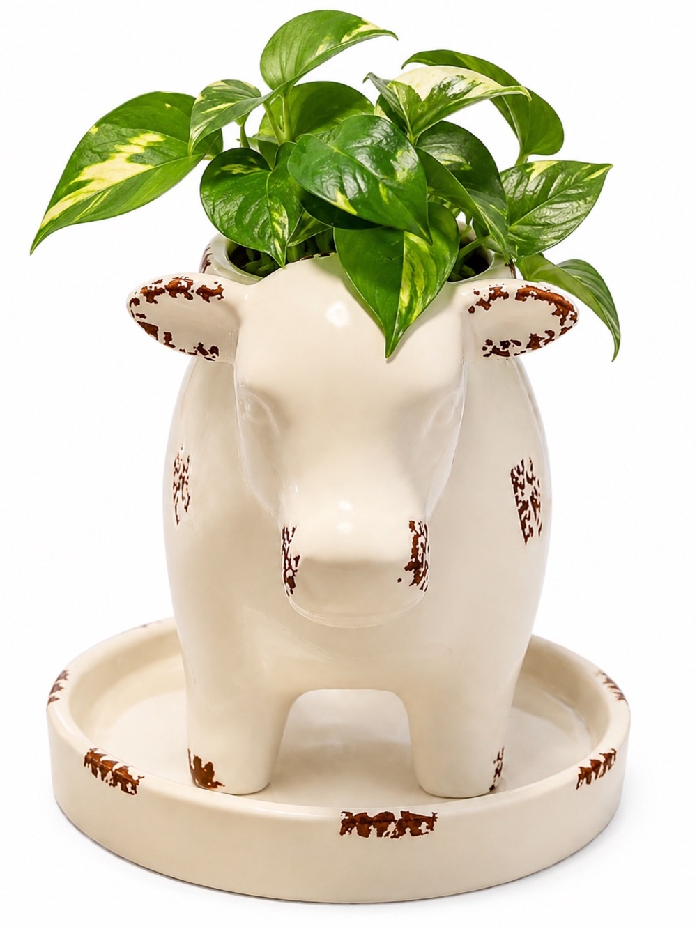 Cow planter NIB